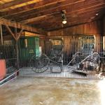 2019_OTRA_1389 (September 07, 2019)